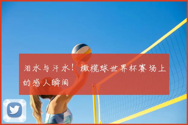 泪水与汗水！橄榄球世界杯赛场上的感人瞬间